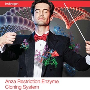 restriction-enzyme-system