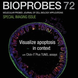 bioprobes