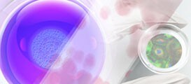 Thermo Scientific Cell Culture Solutions