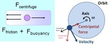 Two forces counteract the centrifugal force acting on the suspended particles