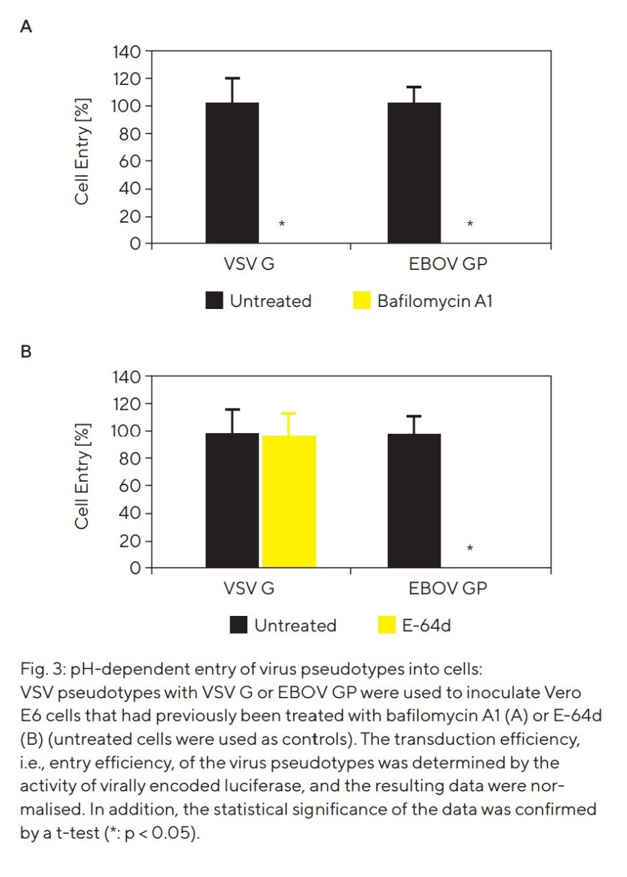 Figure 3 Figure 3